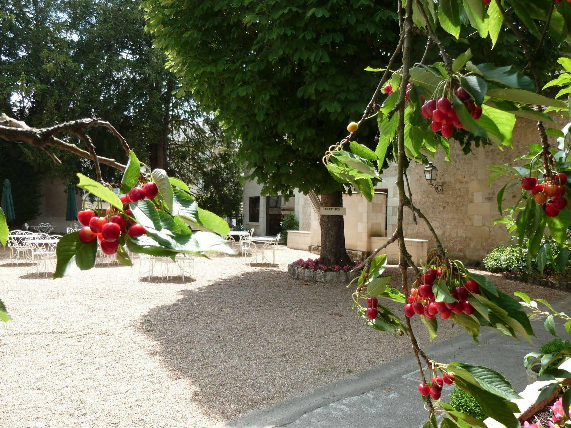 Hotel Grand Monarque Azay-le-Rideau Εξωτερικό φωτογραφία