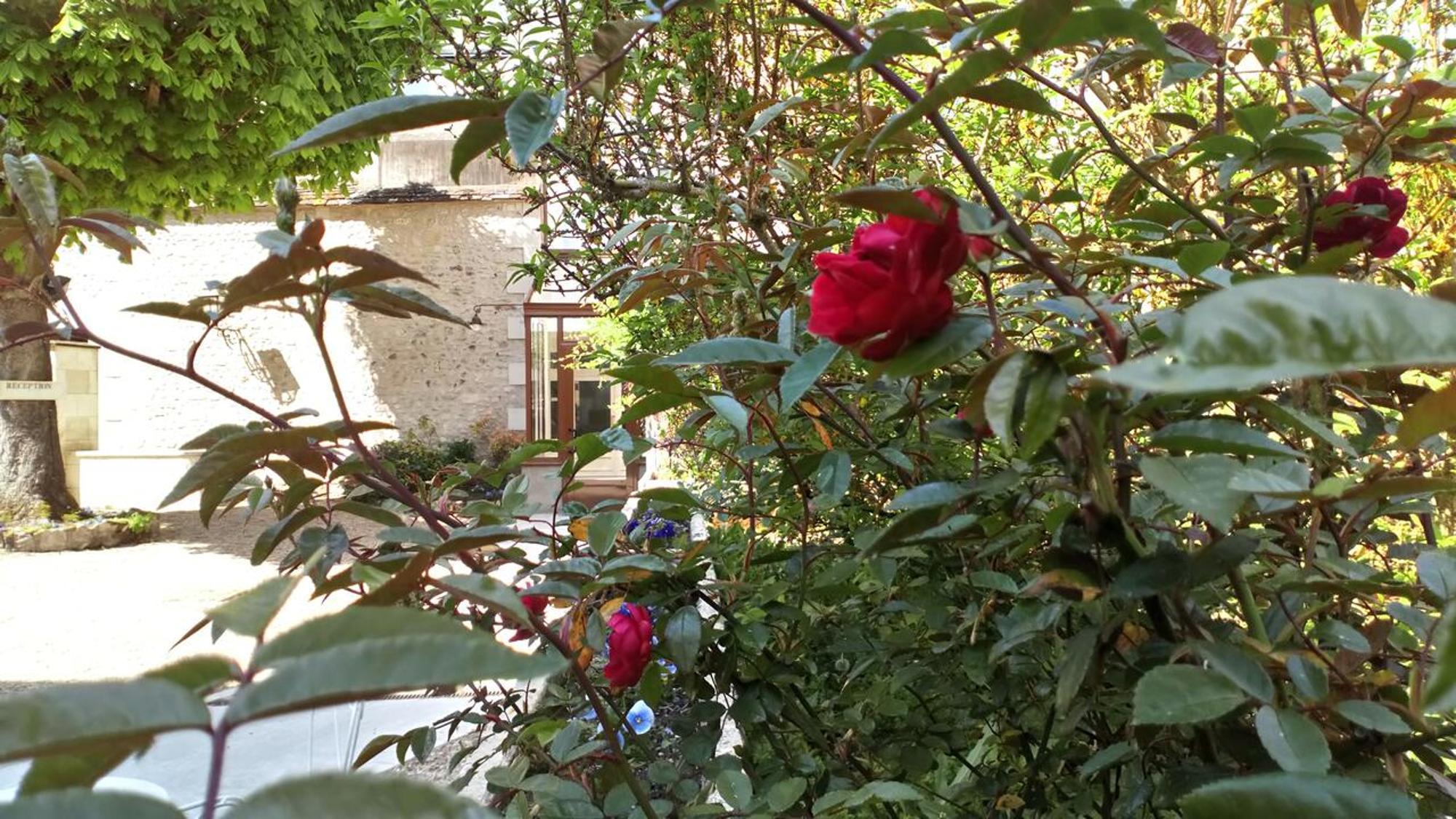 Hotel Grand Monarque Azay-le-Rideau Εξωτερικό φωτογραφία